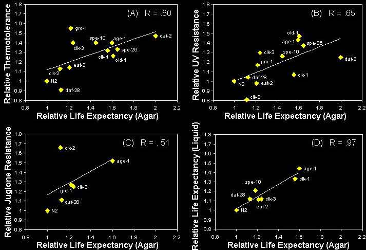 The Johnson Lab: Correlation between Life Expectancy and Stress Resistance