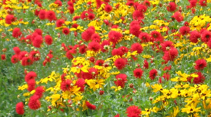 Butchart Gardens