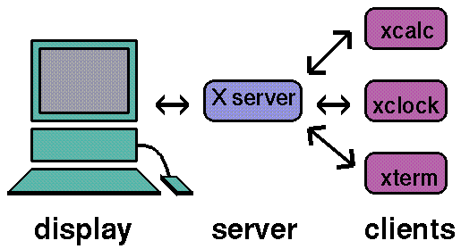The Client Server Model